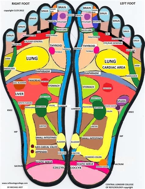 Foot Reflexology: A Journey into the Magic of Feet for Improved Health
